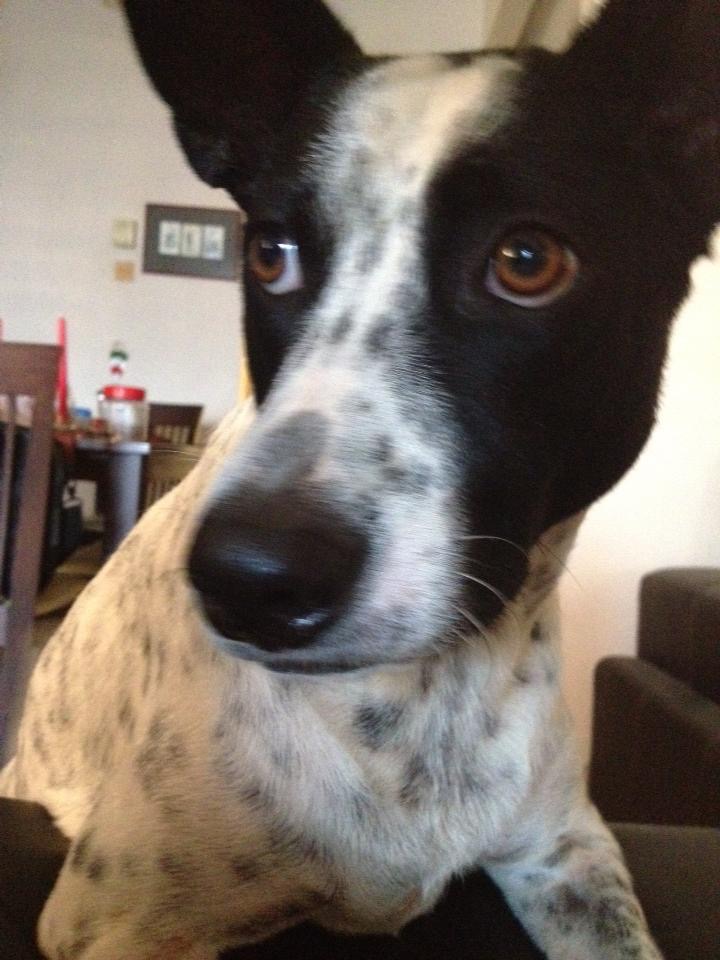 3A75A7E7-649C-42C6-8044-0321A79E51F2